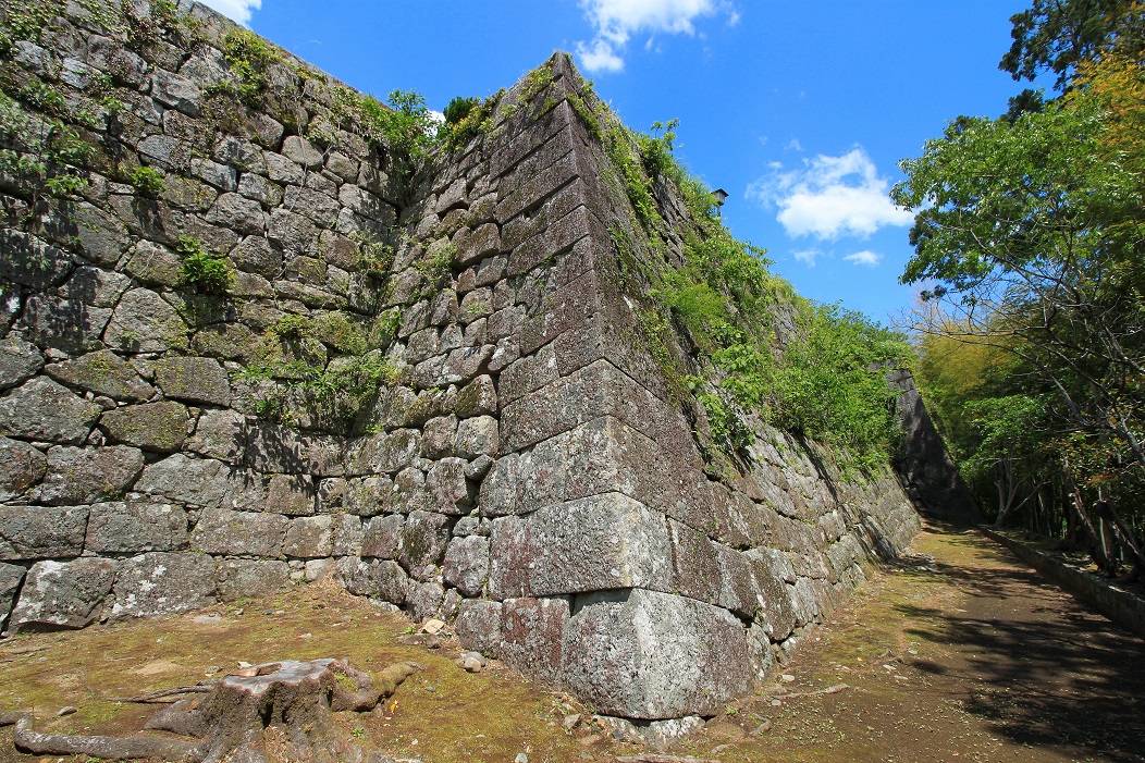 f:id:Gorgon:20210606104128j:plain