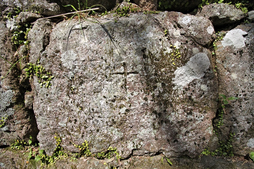 f:id:Gorgon:20210606105303j:plain