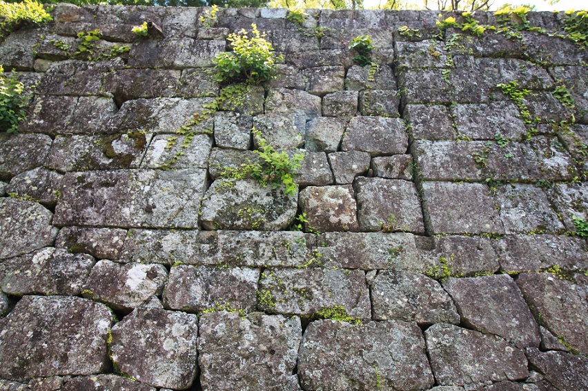 f:id:Gorgon:20210606110339j:plain