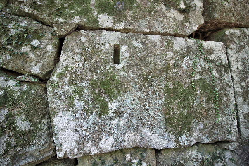 f:id:Gorgon:20210606112213j:plain