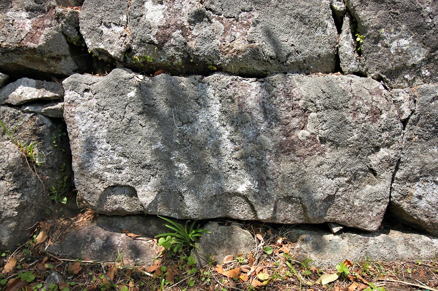 f:id:Gorgon:20210606121750j:plain