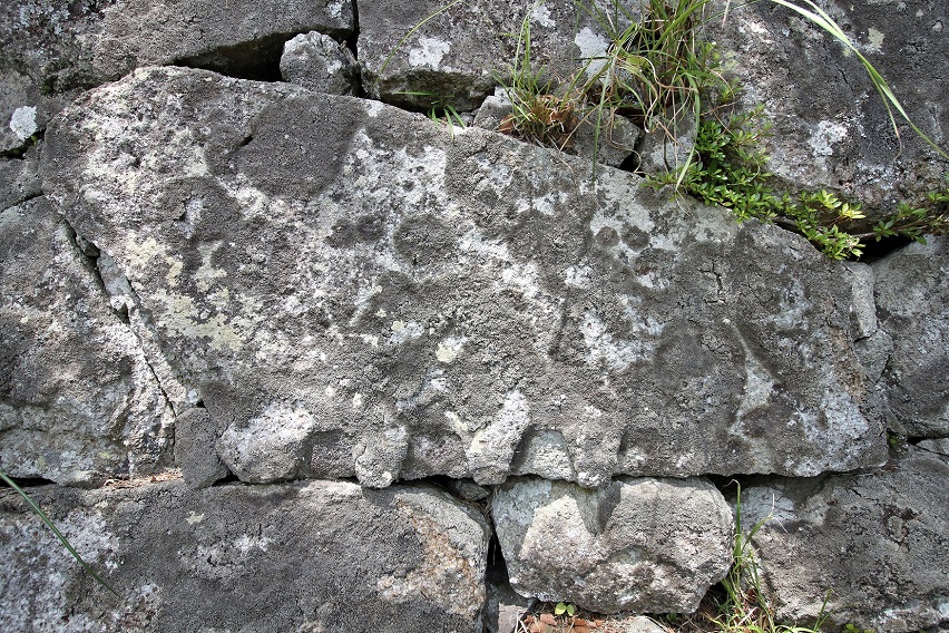 f:id:Gorgon:20210606122330j:plain