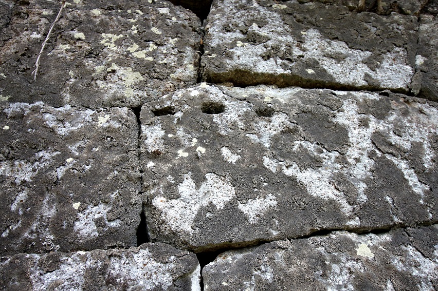 f:id:Gorgon:20210606122728j:plain