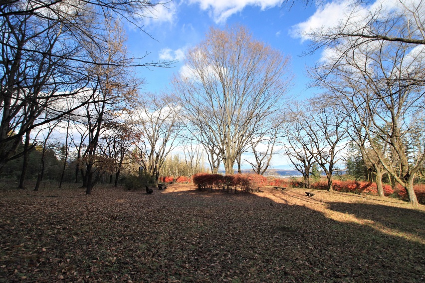 f:id:Gorgon:20220116160551j:plain