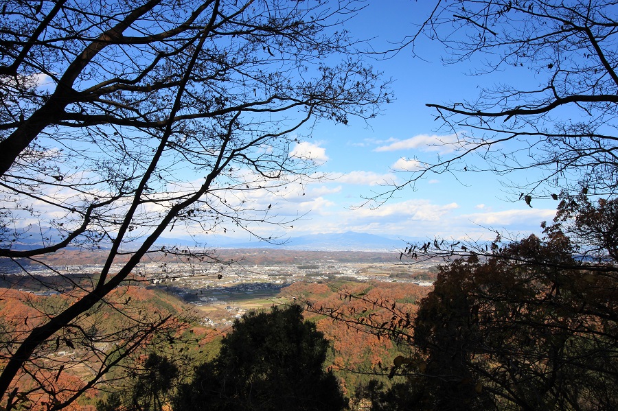 f:id:Gorgon:20220116164423j:plain