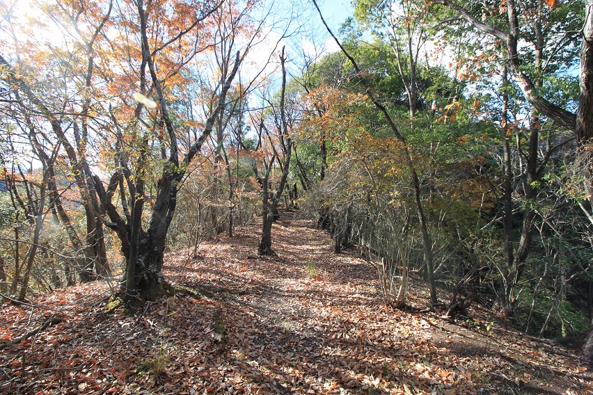 f:id:Gorgon:20220116164937j:plain