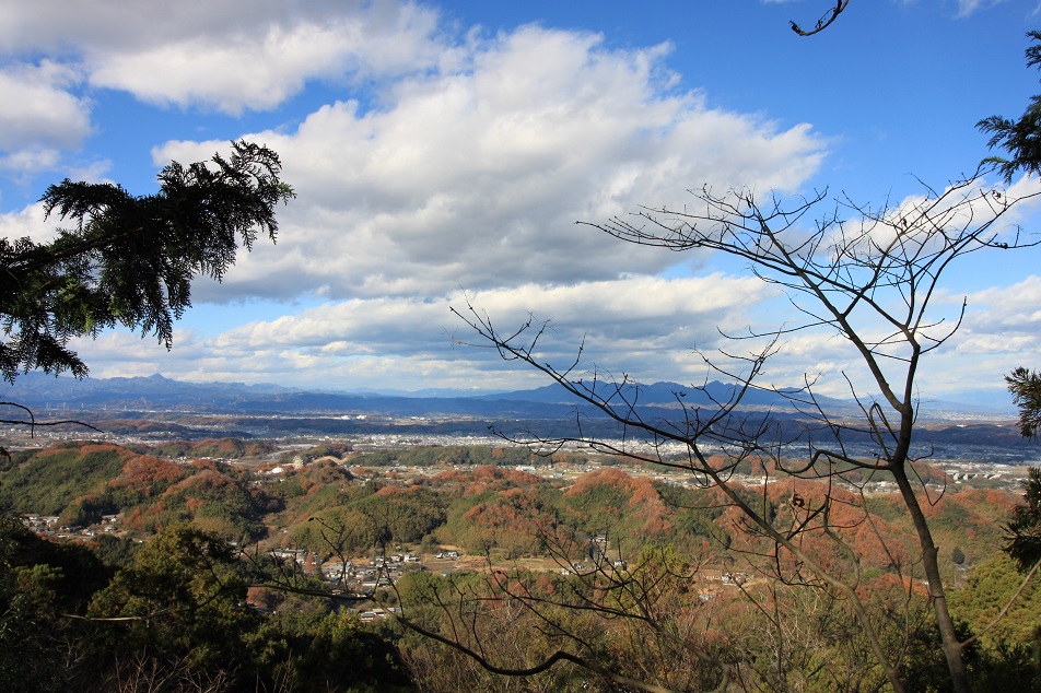 f:id:Gorgon:20220116172554j:plain