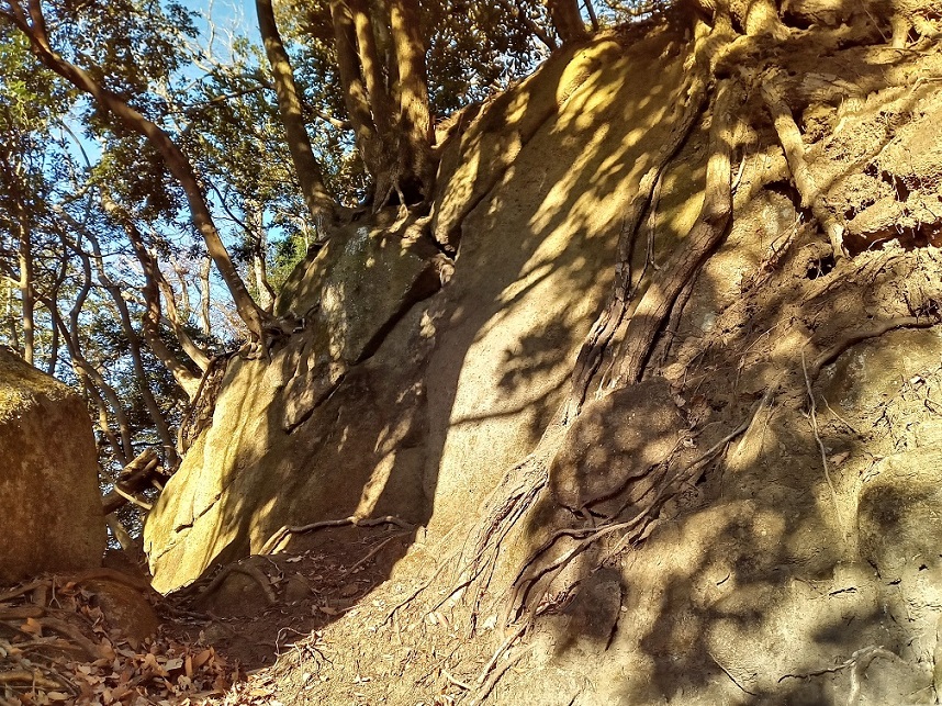 f:id:Gorgon:20220211151119j:plain