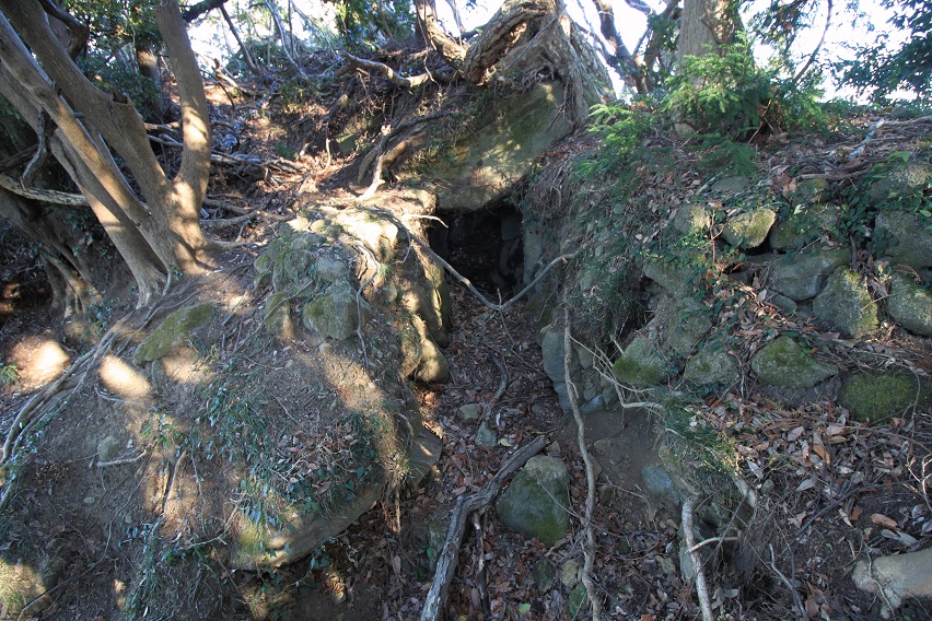 f:id:Gorgon:20220211160319j:plain