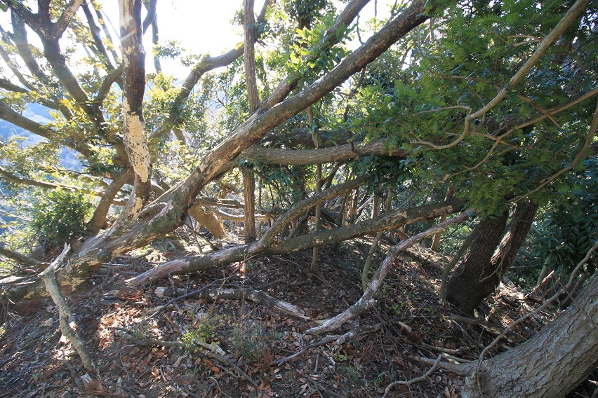 f:id:Gorgon:20220211162106j:plain