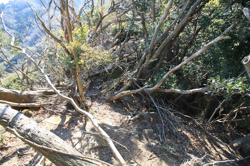 f:id:Gorgon:20220211162530j:plain