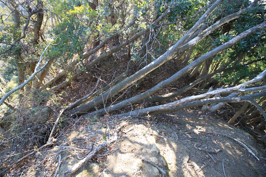 f:id:Gorgon:20220211163806j:plain