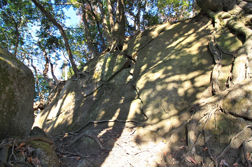 f:id:Gorgon:20220211170629j:plain