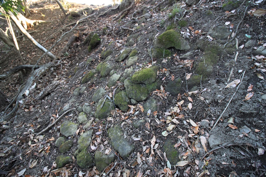 f:id:Gorgon:20220211172049j:plain