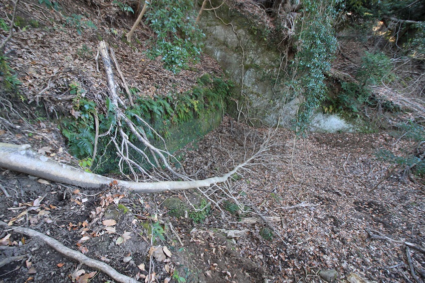 f:id:Gorgon:20220211172432j:plain