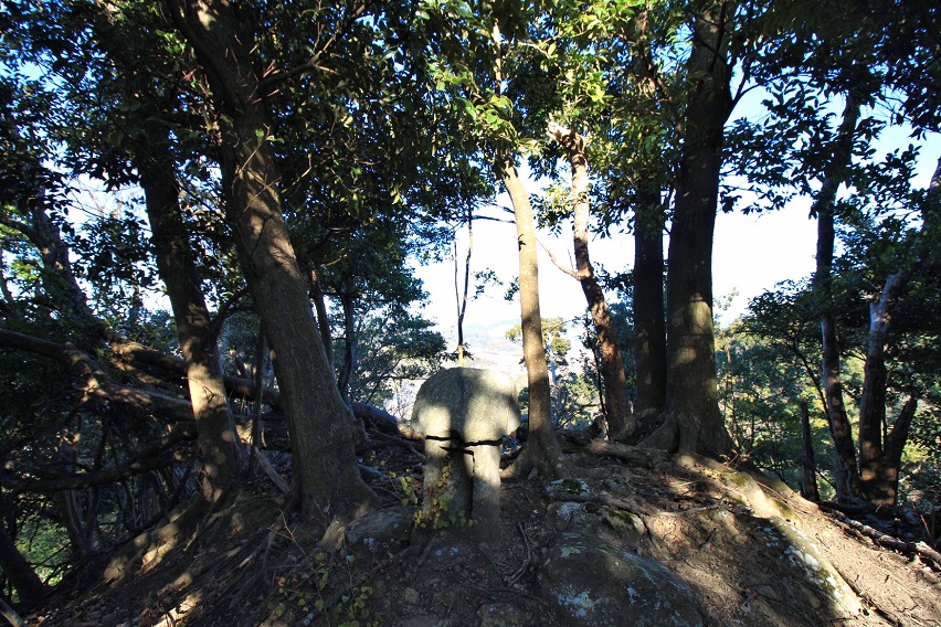 f:id:Gorgon:20220211174013j:plain