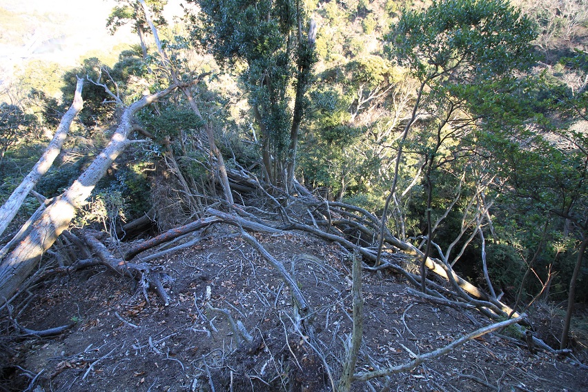 f:id:Gorgon:20220211174802j:plain