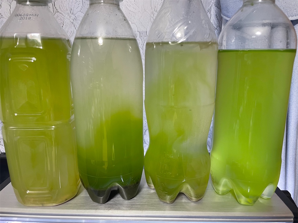 f:id:GorillaMedaka:20201211205414j:plain
