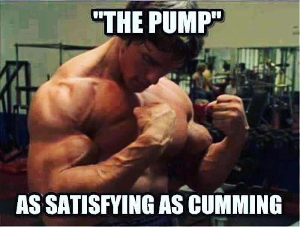 f:id:GorillaStrengthAndTherapy:20170525220027j:image