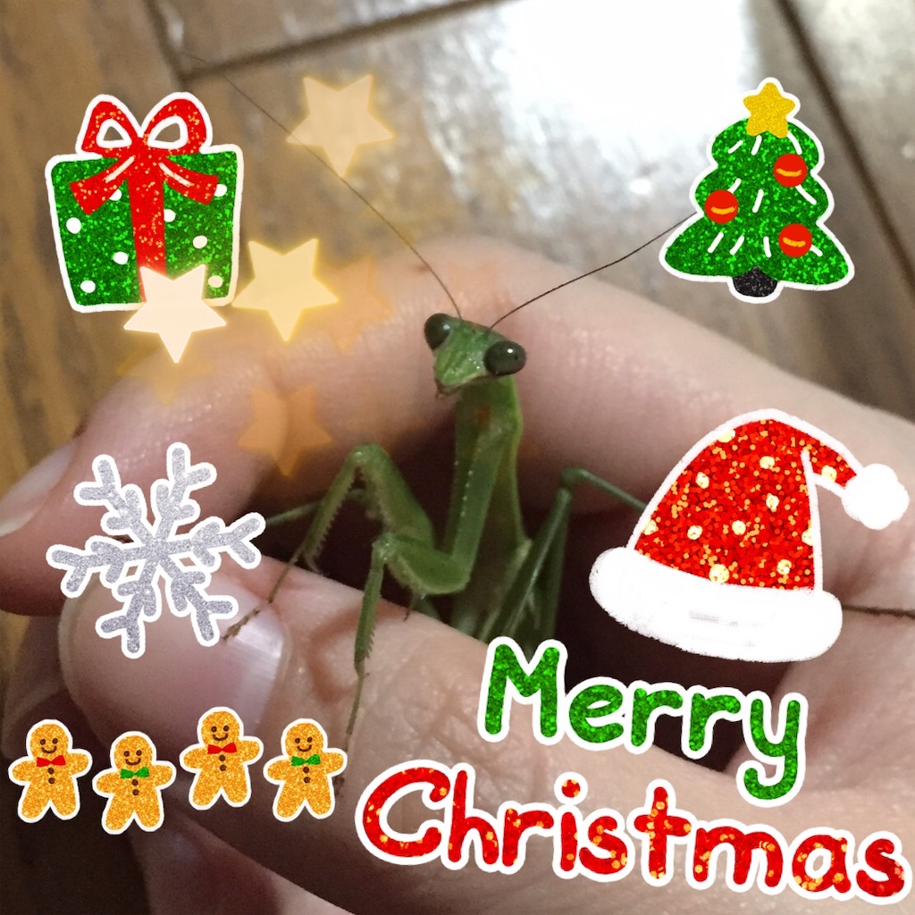 f:id:Gottesanbeterin:20181226010113j:image