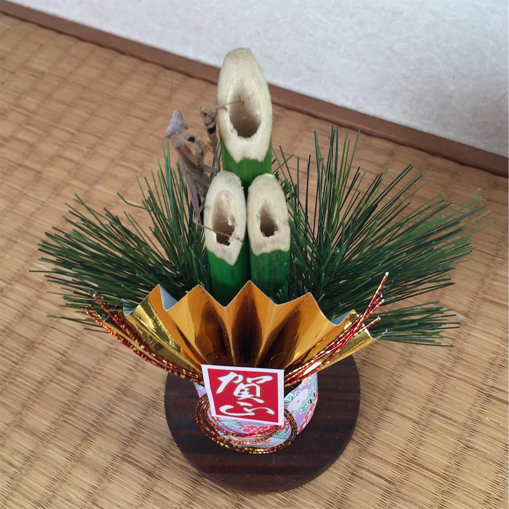 f:id:Gottesanbeterin:20190108004425j:image