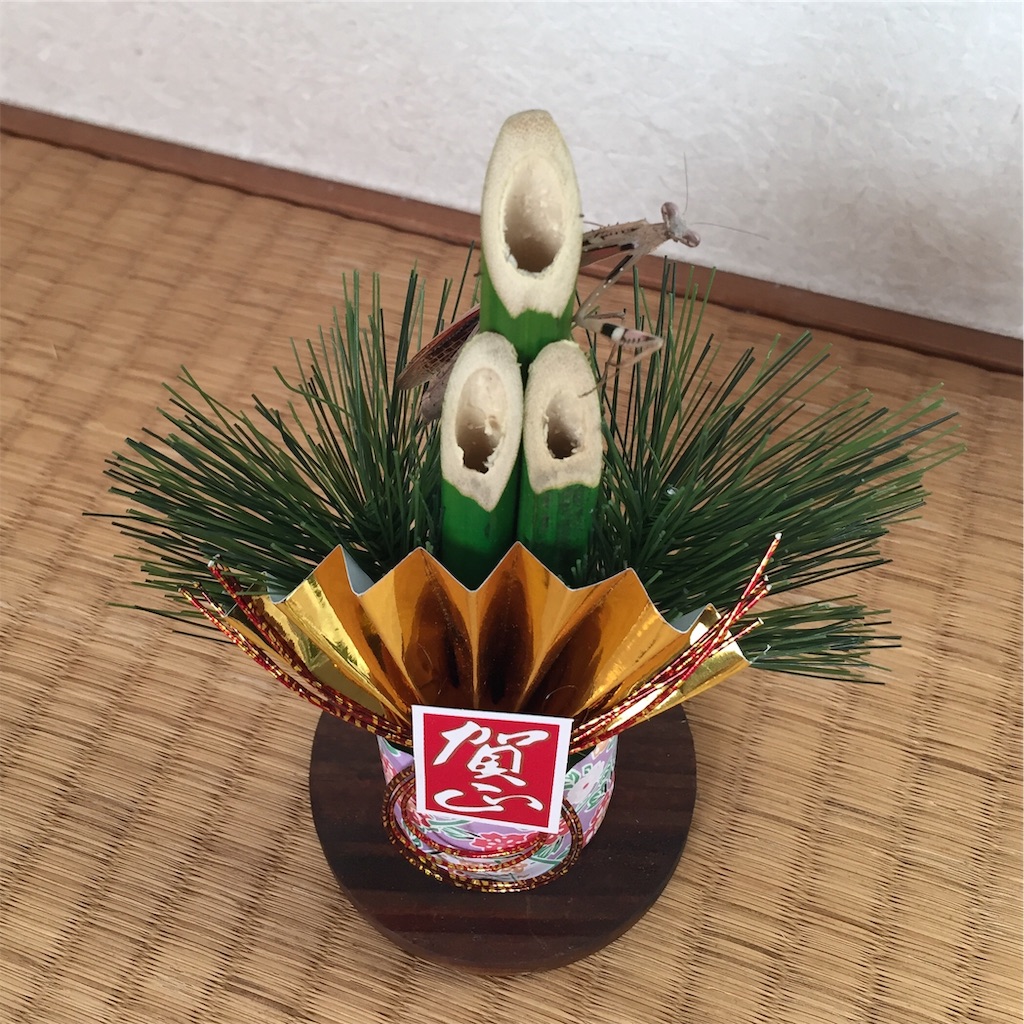 f:id:Gottesanbeterin:20190108004431j:image