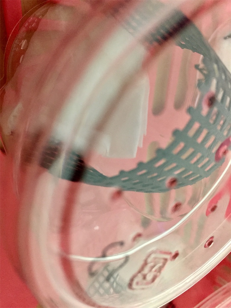f:id:Gottesanbeterin:20190531234928j:image