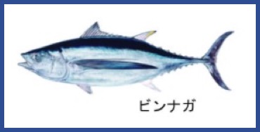 f:id:GourmetKing:20200620123750j:plain