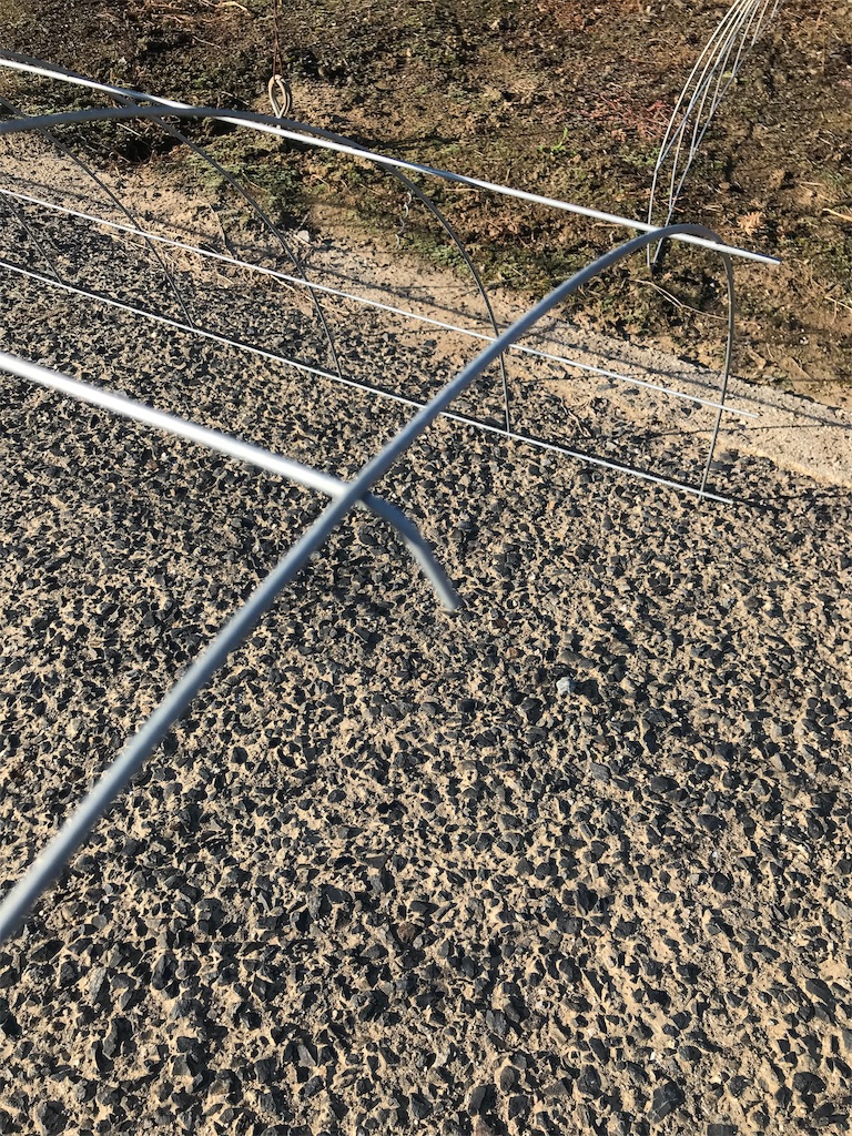 f:id:GrapeTopia:20190930233953j:image f:id:GrapeTopia:20190930233953j:image
