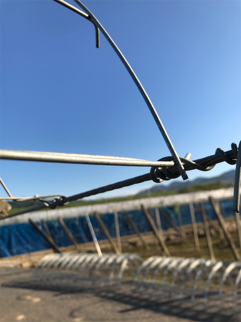 f:id:GrapeTopia:20191001181046j:image f:id:GrapeTopia:20191001181046j:image