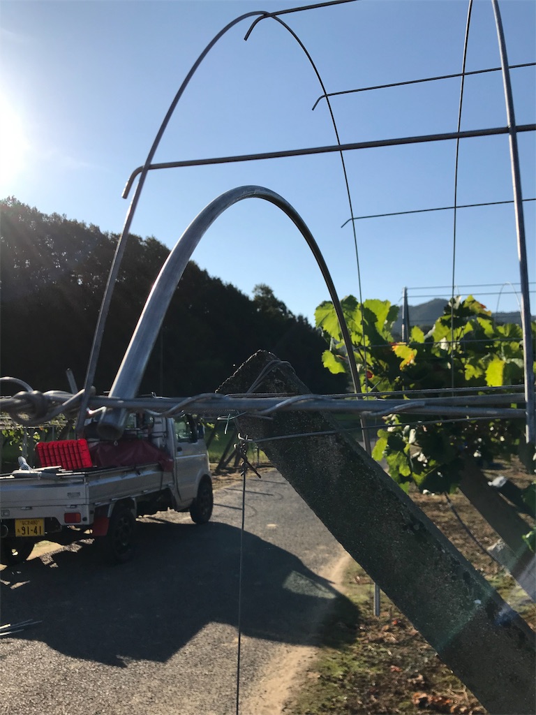 f:id:GrapeTopia:20191001181659j:image f:id:GrapeTopia:20191001181659j:image