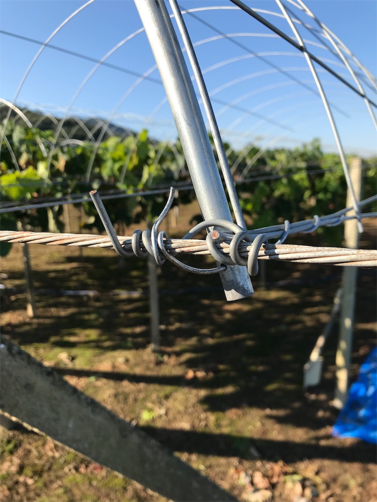 f:id:GrapeTopia:20191001182631j:image f:id:GrapeTopia:20191001182631j:image