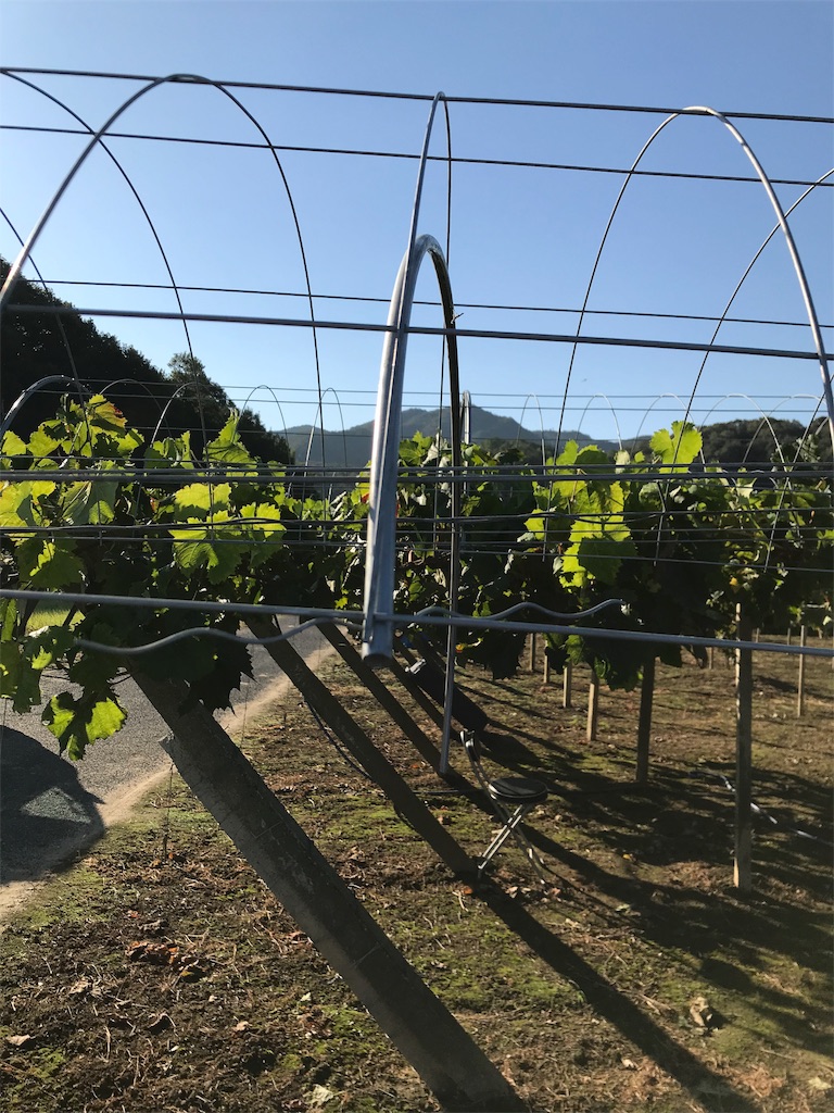 f:id:GrapeTopia:20191001184631j:image f:id:GrapeTopia:20191001184631j:image