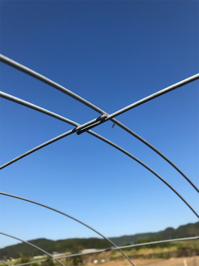 f:id:GrapeTopia:20191001210803j:image f:id:GrapeTopia:20191001210803j:image