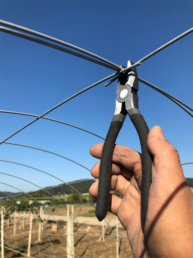f:id:GrapeTopia:20191001210827j:image f:id:GrapeTopia:20191001210827j:image