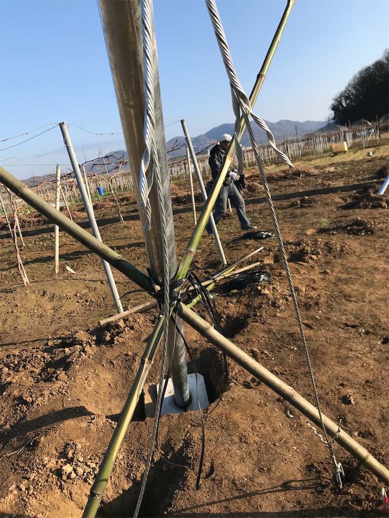 ぶどう棚新設工事 その2 - Grape Fairies'blog ぶどう農家の一年
