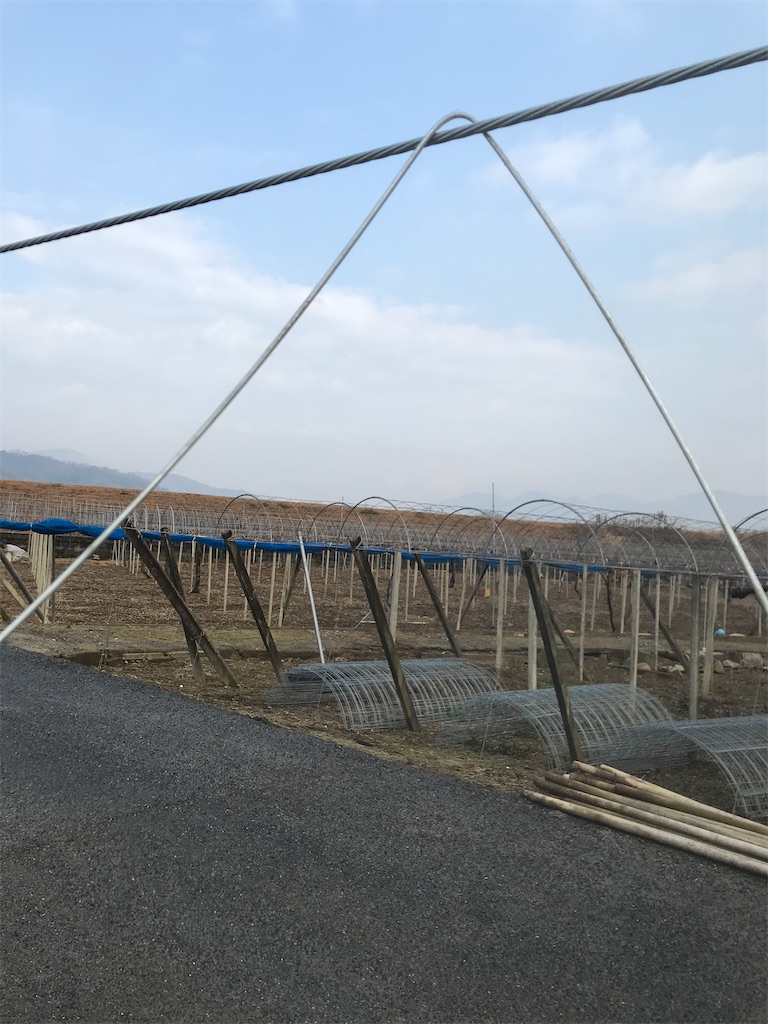 f:id:GrapeTopia:20210117171908j:image