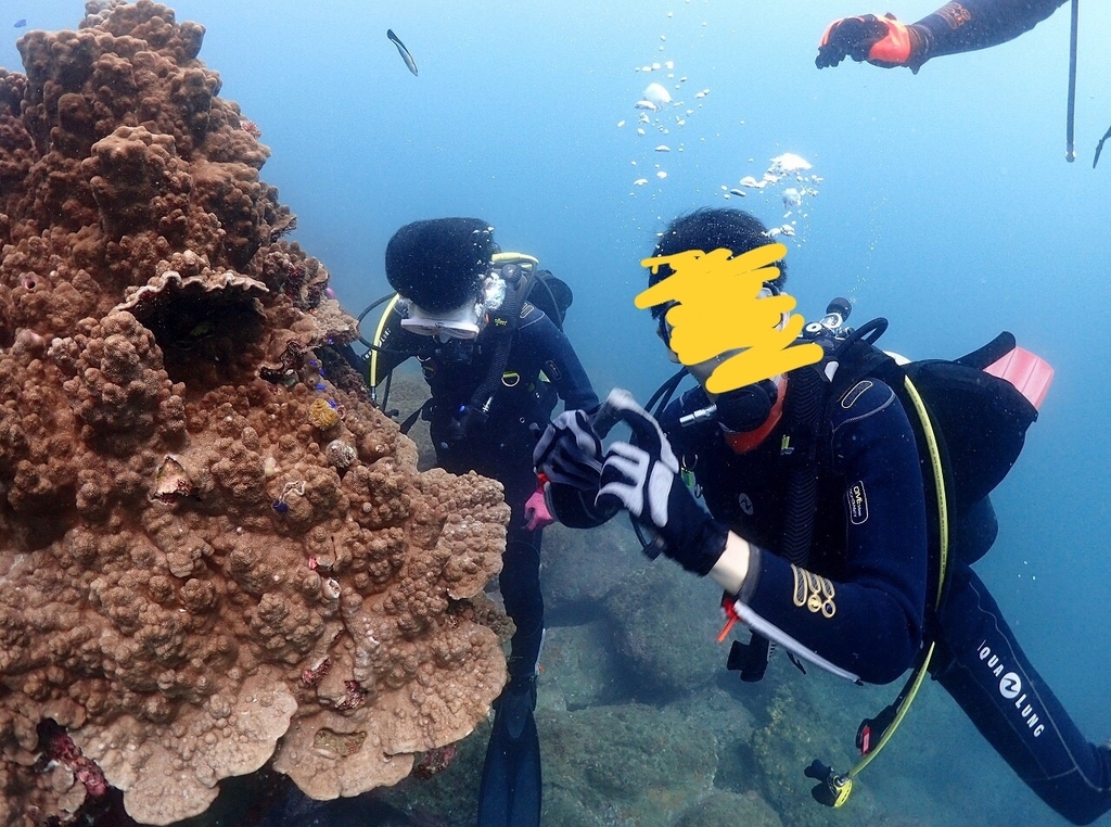 f:id:Great_Teacher_nOri:20190110152242j:plain f:id:Great_Teacher_nOri:20190110152242j:plain