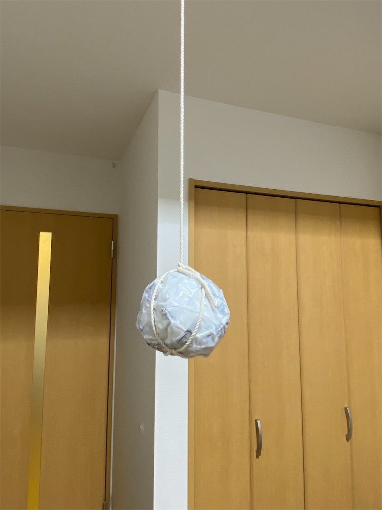 自作パンチングボール - カビパンブログ