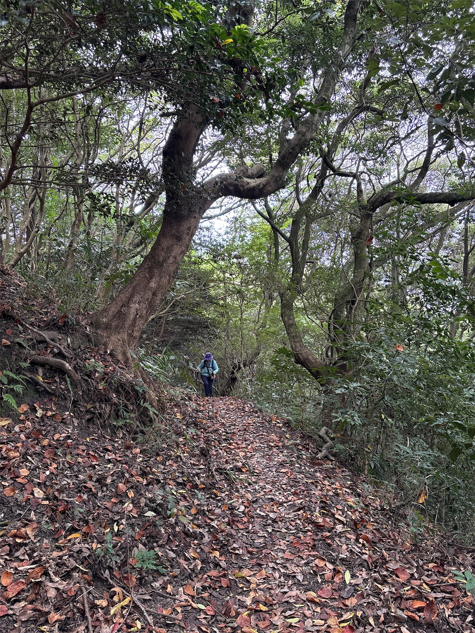f:id:GreenBB:20261011123422j:image
