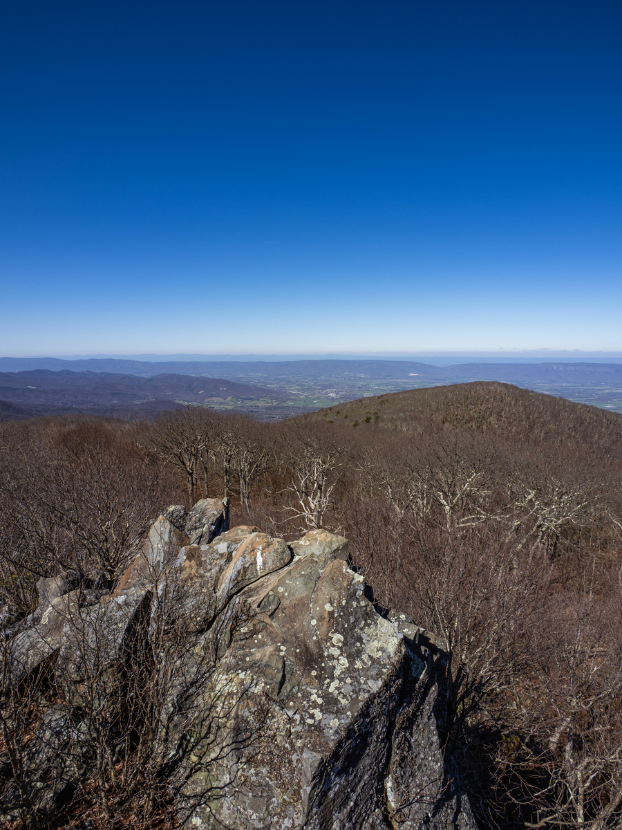 Shenandoah National Park最高峰、Mt. Hawksbillに登る。（後編） - 山