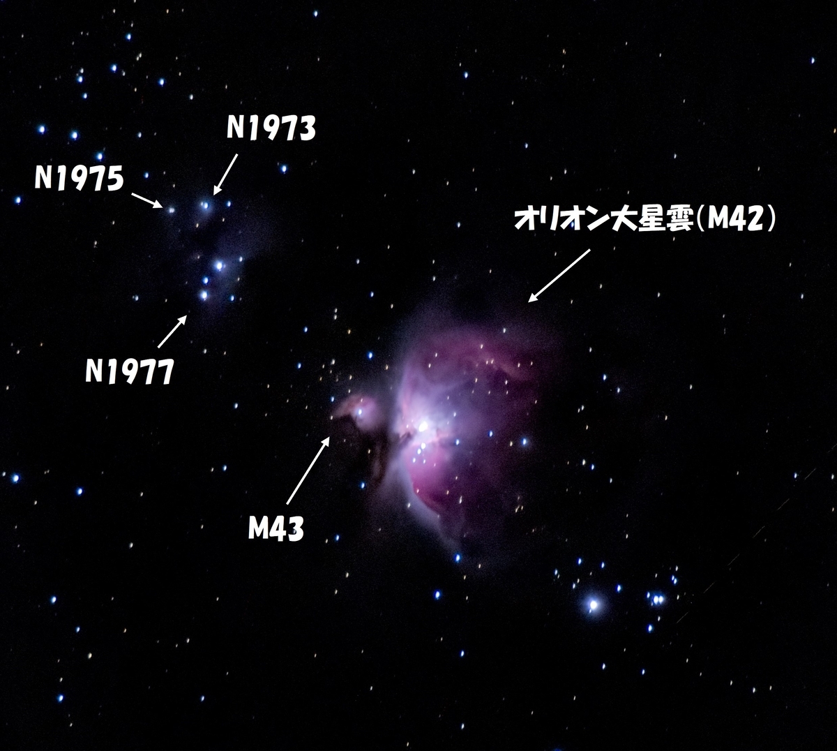 日の丸に近い赤点 ポータブル赤道儀のコンディションを見るついでにC/2025 A6 Lemmon