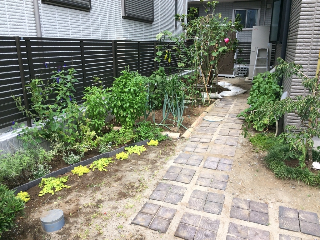 f:id:Green_Coordinator_Moegi:20190306165401j:plain f:id:Green_Coordinator_Moegi:20190306165401j:plain