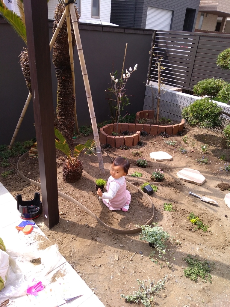 f:id:Green_Coordinator_Moegi:20190306170332j:plain f:id:Green_Coordinator_Moegi:20190306170332j:plain