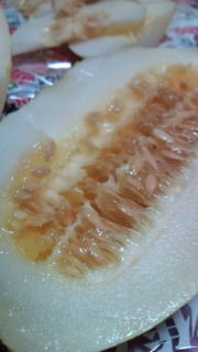 f:id:Green_Tea:20100807122739j:image