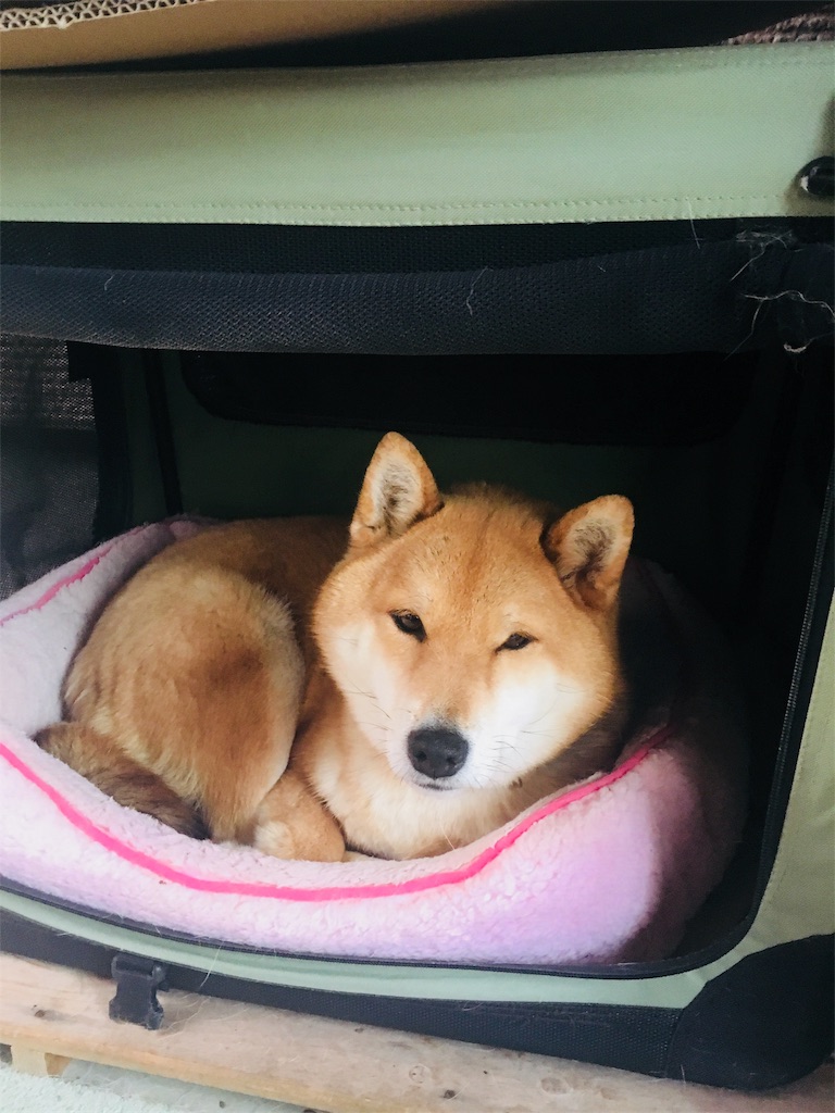 f:id:Greenglish:20180430215240j:image