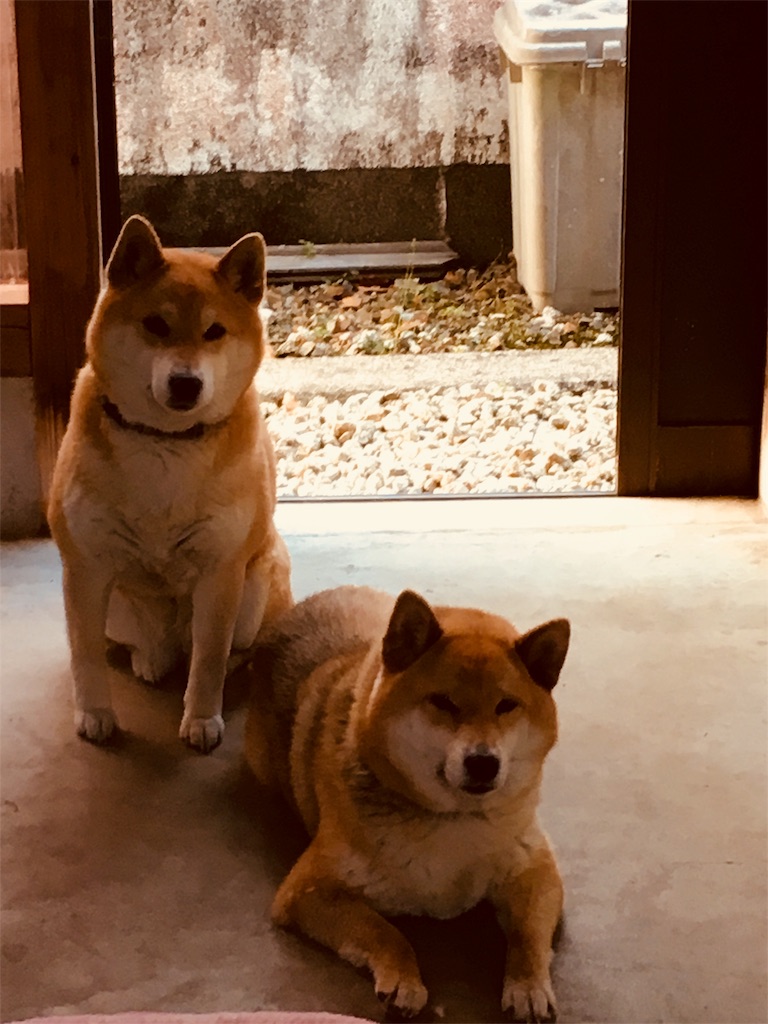 f:id:Greenglish:20180501074234j:image