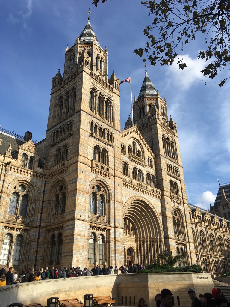 f:id:Greenpepper:20210829185508j:plain