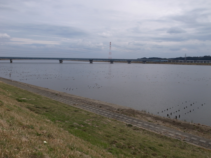 f:id:Greenweekends:20120226140538j:image:w640