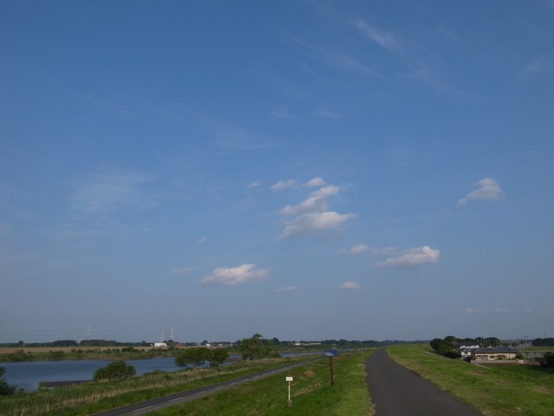 f:id:Greenweekends:20120527165656j:image:w640